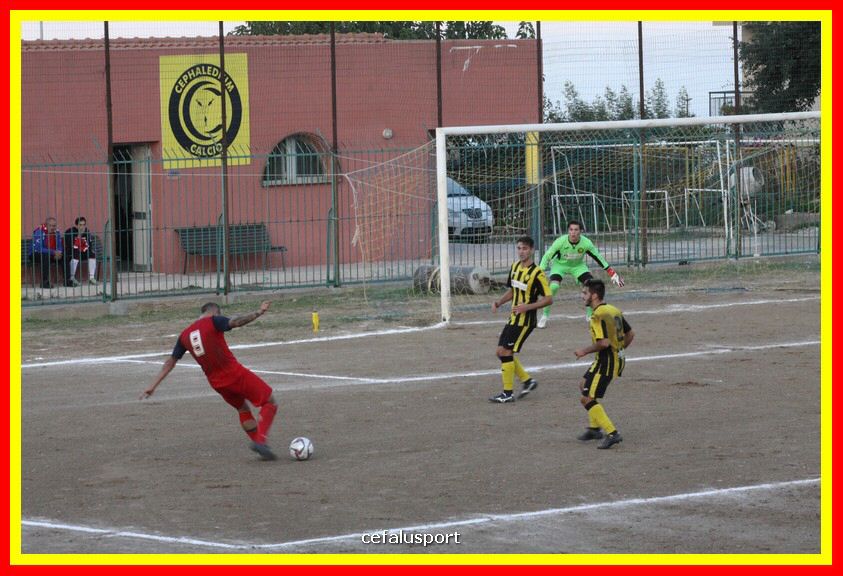 181111 Cepha_Milazzo 260_tn.JPG
